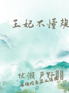 王妃不懂规矩
