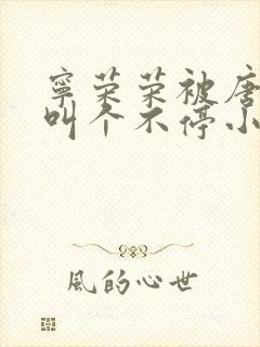 宁荣荣被唐三桶叫个不停小说