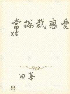 当总裁恋爱时txt