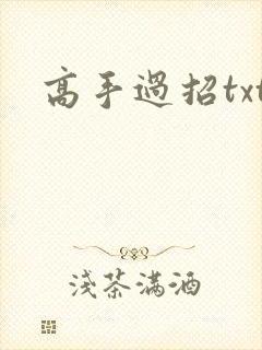 高手过招txt