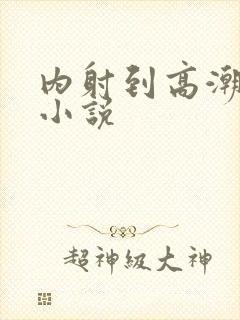 内射到高潮的H小说