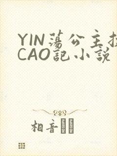 YIN荡公主挨CAO记小说