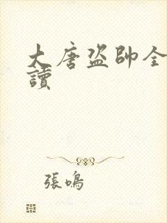 大唐盗帅全文阅读