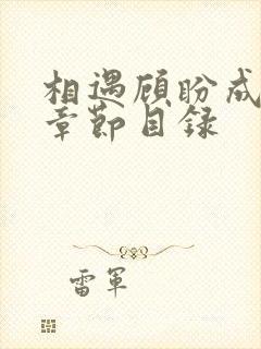 相遇顾盼成欢全章节目录