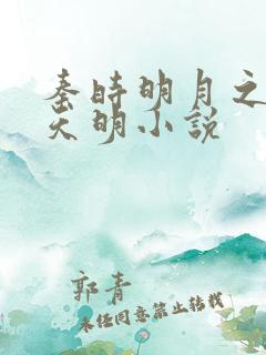 秦时明月之夜尽天明小说