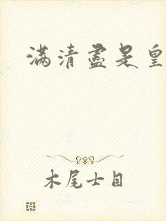 满清尽是皇阿哥