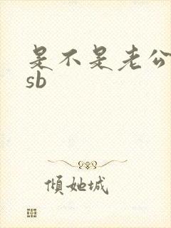 是不是老公的小sb