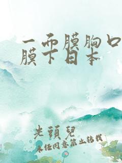 一面膜胸口一面膜下日本