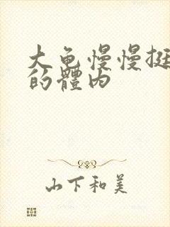 大龟慢慢挺进我的体内