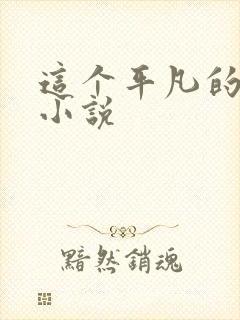 这个平凡的男子小说