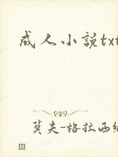成人小说txt