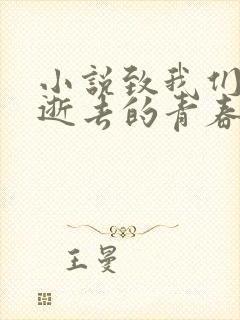 小说致我们终将逝去的青春
