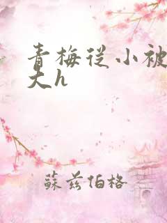 青梅从小被弄到大h