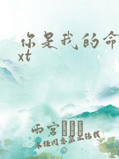 你是我的命运txt