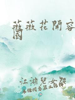 薇薇花开容颜倾国