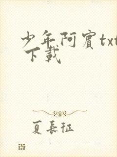 少年阿宾txt 下载