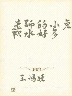 老师的小兔子好软水好多