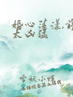 婚心荡漾,前夫太凶猛