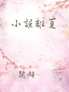小说离夏