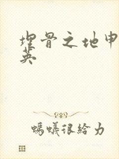 埋骨之地申屠奎英