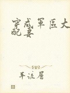 穿成军区大佬女配妻