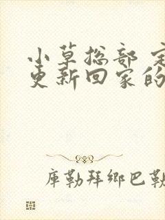 小草总部 定期更新回家的路