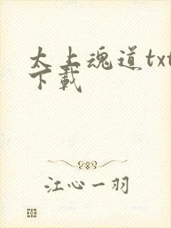 太上魂道txt下载