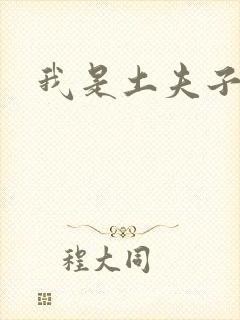 我是土夫子