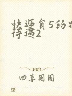 快递员5的特殊待遇2