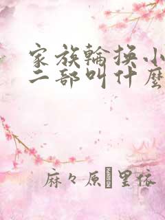 家族轮换小说第二部叫什么名字