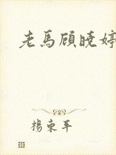 老马顾晓婷小说