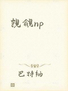 觊觎np