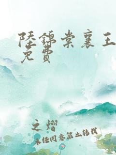 陆锦棠襄王全文免费