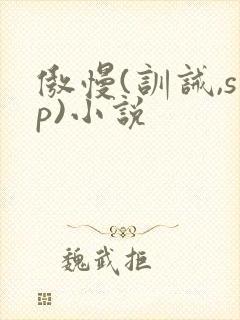 傲慢(训诫,sp)小说