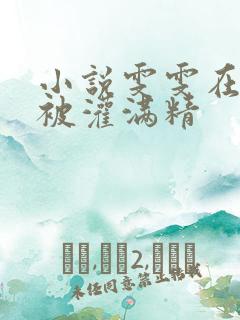 小说雯雯在工地被灌满精