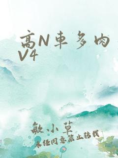 高N车多肉多1V4