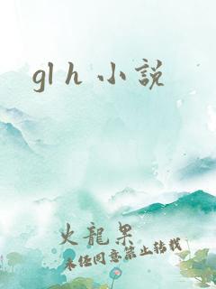 gl h 小说