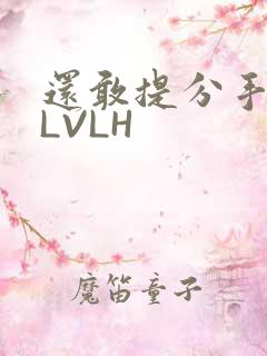 还敢提分手吗嗯LVLH