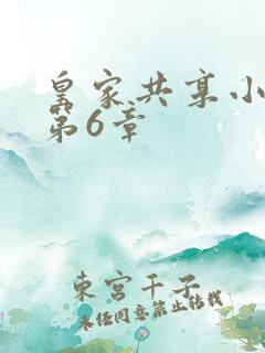 皇家共享小公主第6章