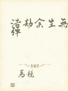 浩劫余生无限子弹