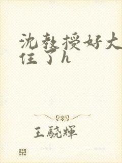 沈教授好大含不住了h