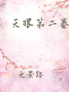 天眼第二卷