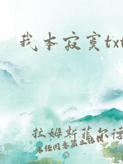 我本寂寞txt