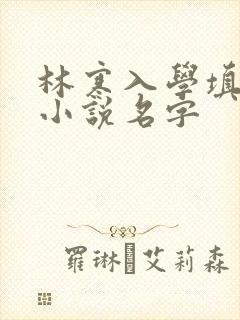 林寒入学填未婚小说名字