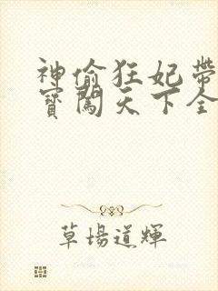 神偷狂妃带着宝宝闯天下全文免费阅读