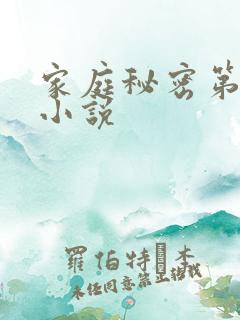 家庭秘密第3集小说