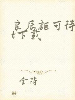 良辰讵可待txt下载