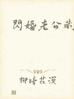 闪婚老公藏不住