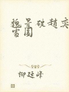 魏晨破赵奕欢的处图