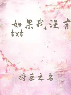 如果我没有爱过txt